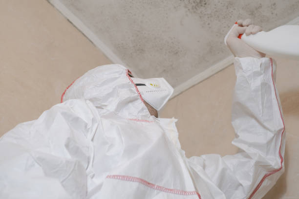 Best Professional Mold Removal  in Barbourville, KY