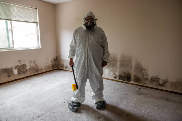 Crawl Space Mold Removal in Barbourville, KY
